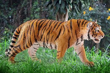 schleich WILD LIFE Tiger