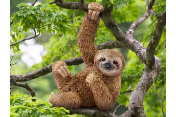 schleich WILD LIFE Faultier
