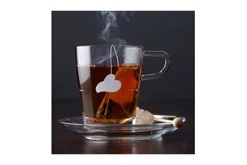 LEONARDO Senso Untertasse Glas Transparent