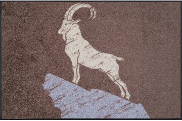 wash+dry Steinbock Braun