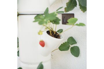 Gusta Garden 100504 Zubehör für Übertöpfe Schelle
