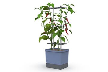 Gusta Garden CHARLY CHILI XL, Farbe: Blau, Grau