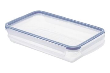 Rotho 1162706161WS Rechteckig Box 1 l Blau, Transparent 1 Stück(e)