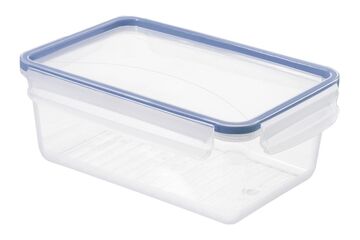 Rotho 1162806161WS Rechteckig Box 2 l Blau, Transparent 1 Stück(e)