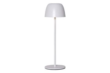 Star Trading 803-19 Tischleuchte SMD-LED-Modul 1,7 W LED Weiß, Farbe: Weiß, Länge: 1 m