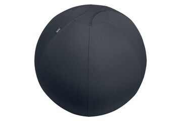 Leitz Active Sitzball 65cm Sitting ball Grau
