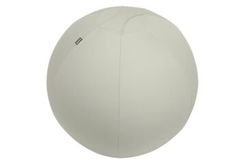 Leitz Ergo Grau Drinnen Sphärisch