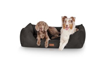 Knuffelwuff Dreamline Polster-Haustier-Bett, Farbe: Schwarz