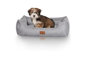Knuffelwuff Dreamline Polster-Haustier-Bett