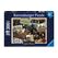 Ravensburger Zurück in Hogwarts    300p Ab 9 Jahre
