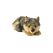 Aurora MiYoni Wolf Lying 11In11In