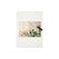 Hermia Schneidebrett XMAS 20 x 30 cm temperiertes Glas, antibakteriell