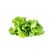 Click & Grow Click and Grow Grüner Salat Nachfüllpackung 3er Set