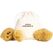 HERA Organics Menstruationsschwamm, Gr. S 3er Set, Naturschwamm, Zero Waste