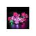 BB LED LEGO 10374 Rosa Rosenstrauss