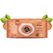 Pet Head Wischtücher Quick Fix 100 Blatt