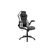 Racingchair CL-RC-BW-2 Gaming Chair schwarz/weiss