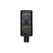 Lewitt LCT 240 PRO Black Kondensator, High-Perfomance Kapsel, Niere