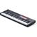 Novation FLkey 2 61 61-Tasten USB-Midi Keyboard für FL Studio