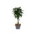 Colibri Nature Jute Mulchmatte quadratisch 30 x 30 cm