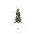 Star Trading Weihnachtsbaum Tallis Indoor, Grün, 200cm