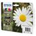 Epson Daisy 18 Gänseblume Claria Home Multipack 4 Farben Tinte