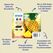 Epson Singlepack Yellow 604 Ink