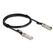 DeLOCK Kabel Twinax SFP+ Stecker zu SFP+ Stecker 2 m
