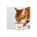 Lucky-Kitty Cat NF Dose Prem. 95% Ente