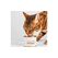 Lucky-Kitty Cat NF Dose Prem. 95% Fisch
