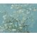 Colorelle MNZ Verblühende Blumen - van Gogh Malen nach Zahlen Set