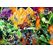 Ravensburger 12001345 Puzzle Puzzlespiel 1000 Stück(e) andere