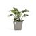 Ecopots Rotterdam Beige 1 Stück(e)