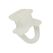 Gardinia Home Decor 0004987 Vorhangstange Vorhanghaken