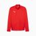 PUMA teamGOAL