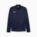 PUMA teamGOAL