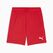 PUMA teamGOAL