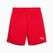 PUMA teamGOAL