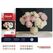 Colorelle COL-PN0032-F Malvorlage &- buch Malen nach Zahlen Set