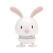Hoptimist Bunny