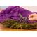 schleich HORSE CLUB 13954 Kinderspielzeugfigur