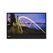 Lenovo ThinkVision M15 Computerbildschirm 39,6 cm (15.6") 1920 x 1080 Pixel Full HD LED Schwarz