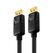 PureLink PI5000-020 DisplayPort-Kabel 2 m Schwarz, Farbe: Schwarz, Länge: 2 m