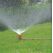 Gardena 01951-20 Wassersprinkler Kreisförmige Wassersprinkler Grau, Rot