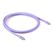 CLUB3D USB C Kabel Lila