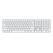 Apple Magic Tastatur Universal USB + Bluetooth QWERTY US Englisch Weiß, Farbe: Weiß