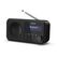 Sharp DR-P420 Tragbar Digital Schwarz