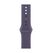 Apple MFFX4ZM/A Intelligentes tragbares Accessoire Band Violett Fluor-Elastomer, Farbe: Violett