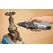 Dremel 443