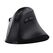 Trust Vyran Maus Universal Rechts RF Wireless + Bluetooth Optisch 4800 DPI